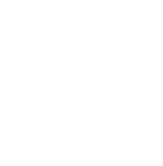 Auberginen