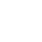 Zucchini