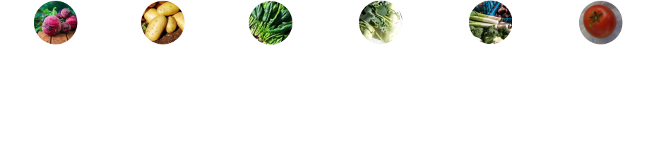 Kartoffeln •	viele Vitamine •	wenig Fett •	wertvolles Eiweiß •	senken Blutdruck Rote Rüben •	Nährstoff reich •	Betain reich •	Blutdruck pos. •	Immunabwehr + Spinat •	Beta-Carotin •	schützt Zellen •	Eisen •	stärkt Nerven Kohlrabi •	Vitamin C •	Calcium •	antientzündlich •	regt Verdauung an Lauch •	wirkt antibiotisch •	gut bekömmlich •	Schlankmacher •	hilft bei Erkältung Tomaten •	stärkt Sehkraft •	schütz vor Schlaganfall •	hält länger jung •	wertvolles Lycopin