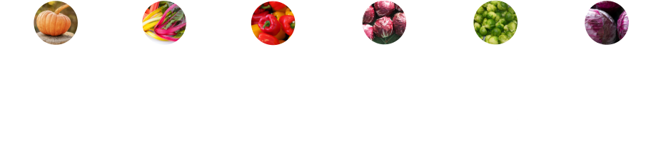 Mangold •	stärkt Abwehrkräfte •	fördert Blutbildung •	gut für Augen u. Haut •	stärkt Knochen  Kürbis •	stärkt die Sehkraft •	viele Sorten •	gut für Blase u. Nieren •	hilft abzunehmen  Paprika •	Fatburner •	pushen Immunsystem •	können Diabetes vorbeugen •	geschält besser verträglich Radicchio •	Bitterstoffe •	senkt Cholesterinspiegel •	liefert Mineralstoffe •	fördert die Sehkraft Rosenkohl •	Fitmacher •	fördert Blutbildung •	regt Verdauung an •	gute Ballaststoffe Rotkohl •	viele Vitalstoffe •	schützt die Zellen •	hilft dem Herzen •	kann die Stimmung heben