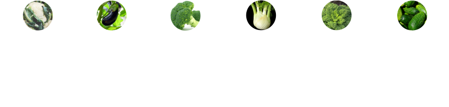Auberginen •	senkt Blutfette •	bremst Zellalterung •	reguliert Flüssigkeitshaushalt •	regt Verdauung an Blumenkohl •	Vitamine, Mineralstoffe •	Antioxidantien •	kalorienarm, low carb •	reich an Sulforaphan Broccoli •	pusht Immunsystem •	beugt Krebs vor •	schützt vor Diabetes •	stärkt Sehkraft Fenchel •	viel Vitamin A •	fördert Blutbildung •	stärkt Herz u. Nerven •	beruhigt den Bauch  Grünkohl •	viel Vitamin C •	schützt Körperzellen •	fördert Blutbildung •	stärkt Knochen Gurken •	helfen bei Diabetes •	gut für die Haut •	sanft entwässernt •	regt Verdauung an